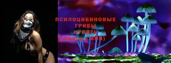 метадон Надым