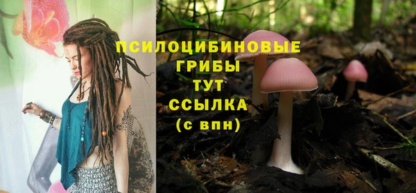 Альфа ПВП Михайлов