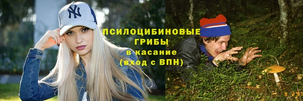 соль ск Михайловск