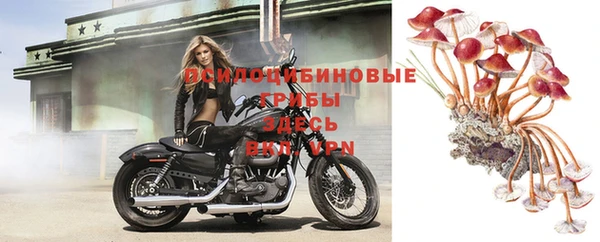 метадон Надым