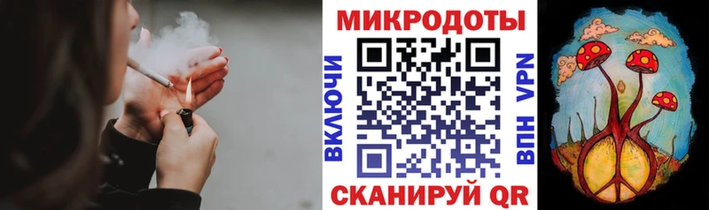 Псилоцибиновые грибы прущие грибы  Купить где  Каргат 